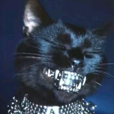 rachelmonaco97's profile picture. 