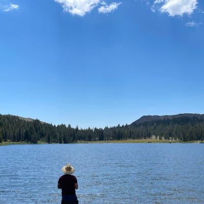 dmnguyen5's profile picture. 