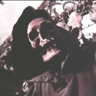 jackingonitrn's profile picture. Christ is King, Hitler is Prince, Fuck yeah.
