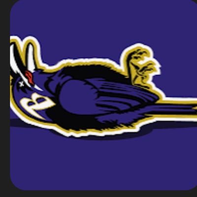 #RavensFlock | football fanatic| sports fan