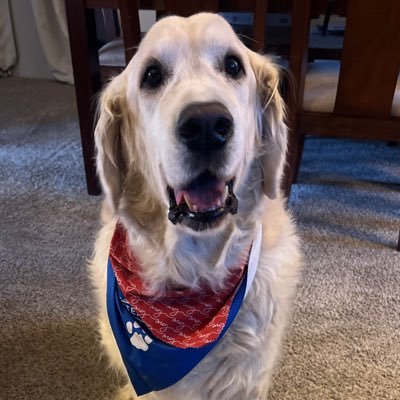 dieselfi7's profile picture. DeFi Content