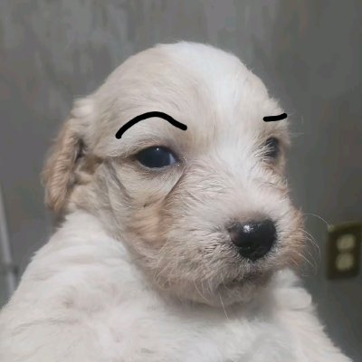 manuel_gonza97's profile picture. Twink versatil pas 🍑🏳️‍🌈 Contenido 🔞
Unete a mi canal de telegram al priv
https://t.co/Hu1lk9Kyj7
Busco Colabs