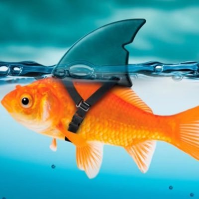 xochitlaalopez's profile picture. 🇲🇽