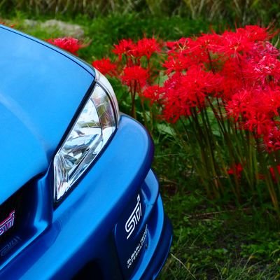 はじめまして(^^)v
宮城でインプのGC8とスイフトのZC11Sに乗ってます!!
過走行車万歳!!
よろしくお願いします(^^ゞ