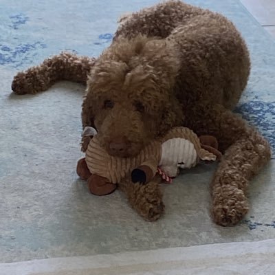 Smiley1Hilda's profile picture. love God,my family and our great country🇺🇸🇺🇸