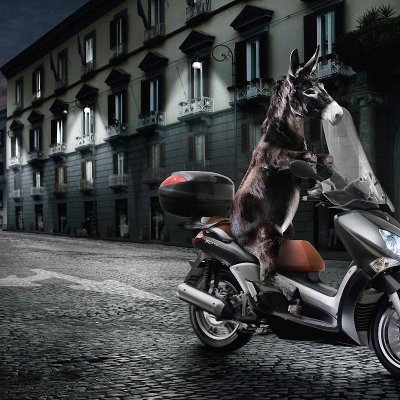 Brendvxgan's profile picture. The pain is just a subtle reminder of how alive you made me feel.