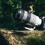 Exino165288's profile picture. Wildlife Snapshots