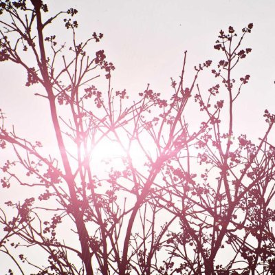hoang886931's profile picture. Kindle