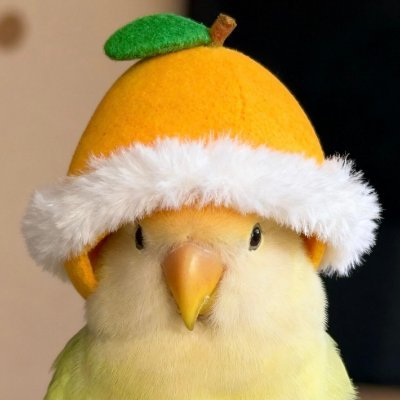 zxcvbvcc's profile picture. 私の好きなものは🥰旅行✈️アニメです。登山🥾ゴルフ⛳ガンダム。食べ物🥘ヨガ🧘🏻‍♀️
私と同じ興味を持つ人々と話すのはとても楽しいです。