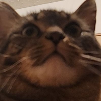 _groovydog_'s profile picture. 5'6
175ib
23yr
nouns are hot