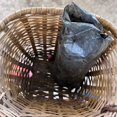 _megan16's profile picture. Puedes vivir la vida levantando muros , o puedes saltarlos. Grey🐠