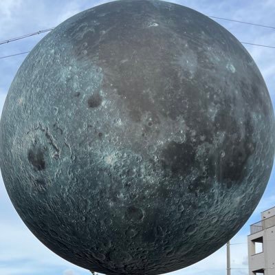 4n5NvDR5o484712's profile picture. 