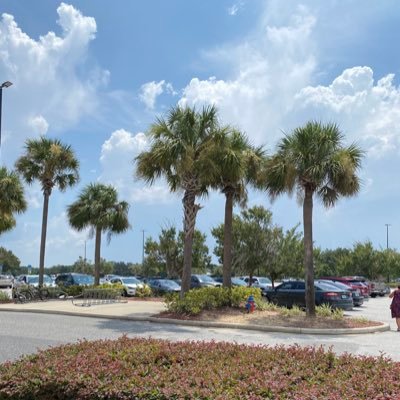 forman88324's profile picture. 