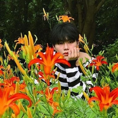 soft mornings ☁️, slow tunes ♫ and #PARKGUNWOOK 🌟⊹₊✧. my calm in every chaos ♡˚₊˖༄