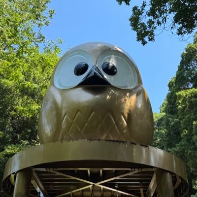 XmwOicdRbH72787's profile picture. 