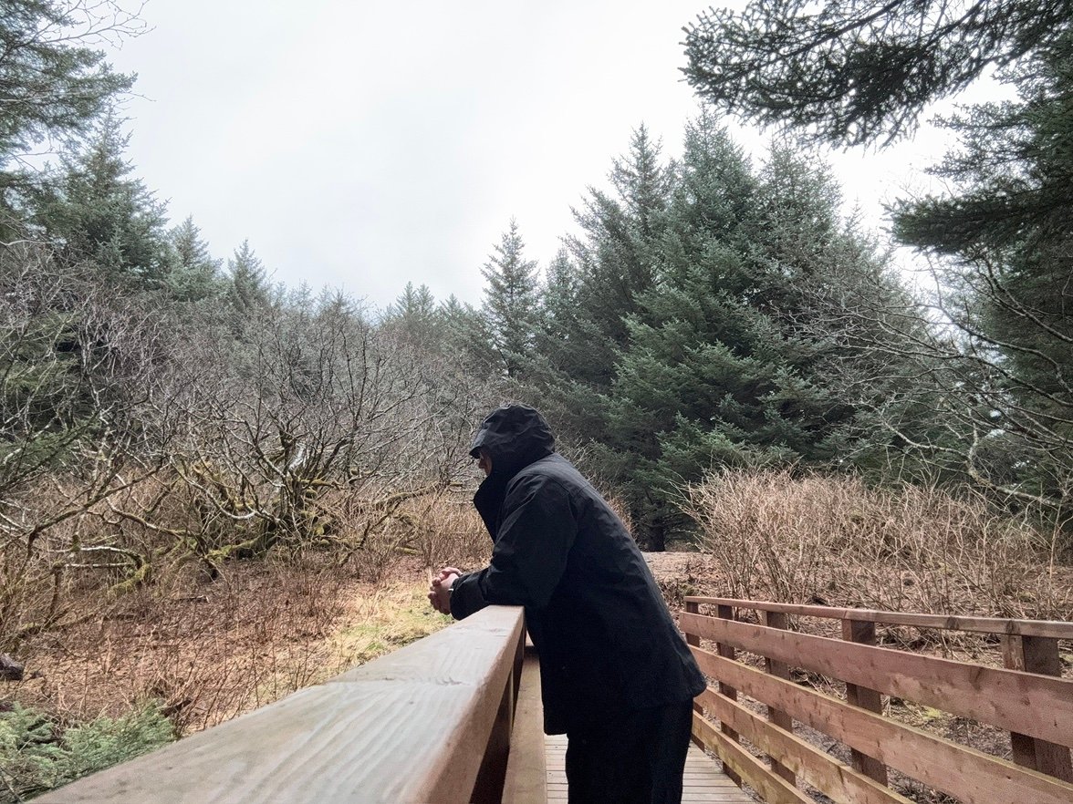 NightWatchShift's profile picture. 