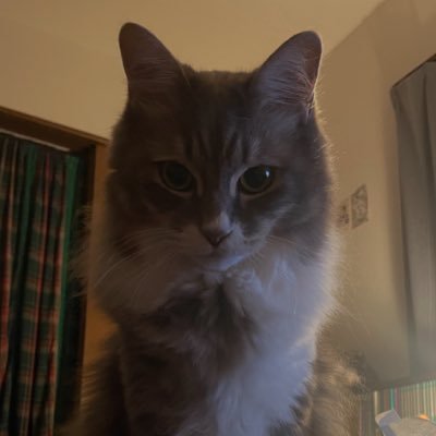nakusochan's profile picture. 生きづらい