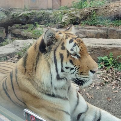 pakipaki7410's profile picture. 