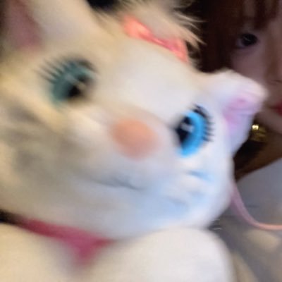 momomomo_toutou's profile picture. 🏇📸