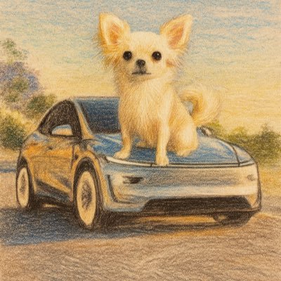 yourselfe_'s profile picture. 2025.09 モデルY juniper 一日ご安全を🐶 Tesla購入が35,000円お値引きされるリンクはこちら→https://t.co/Cik47l6eOD情報共有しましょう🤭