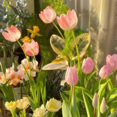 wtunnie_06's profile picture. 