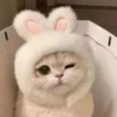 cv7q_'s profile picture. 