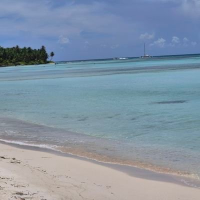 deborah89104161's profile picture. one day at time