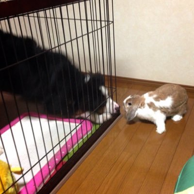 Koh_FGOAC's profile picture. スト6(2024.9〜:ベガ) 昨日より今日は、そして今日より明日はさらに素晴らしい日になれると願って、頑張りましょう