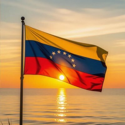 CastroAlej76849's profile picture. 