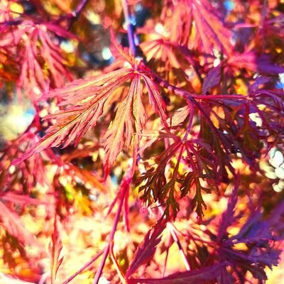 BrooksRaed24222's profile picture. 🇺🇲