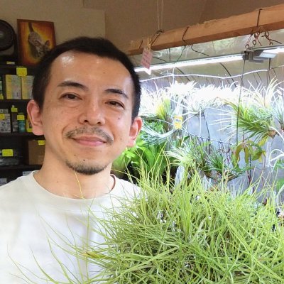 kandakumaso's profile picture. 生き物としてのエアープランツ専門店(店頭在庫約200種類) / いっしょにボタニカルライフを始めませんか？ / 通販は商品宣伝部@kandahayatoをご覧頂きDMにてお問い合わせ下さい / 二児(中学生)の父 / 好き→生物全般・平和・美しいもの・歴史 / 日本ブロメリア協会会員