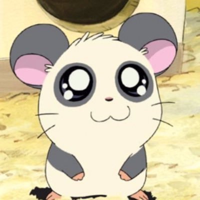 LP_korune's profile picture. ♡ @Cafe_LovePoint ♡ ここで会えます🎀アイドル、わんちゃん、バンド、たべることがすきです🐶❕ 遠隔はこちら♪⇨https://t.co/WsIoB3RHpH