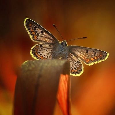 Matt1G83578's profile picture. 你好。