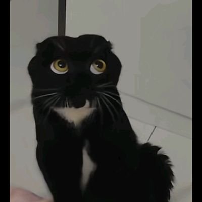 lrurppej's profile picture. 