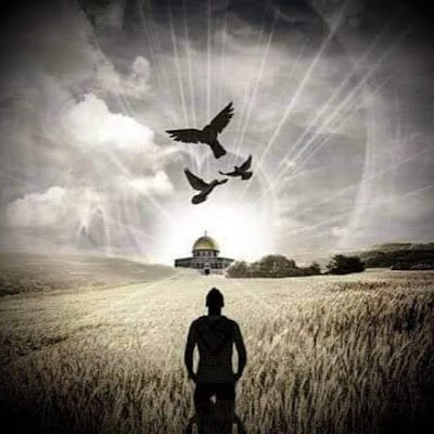 lmarya647's profile picture. 
