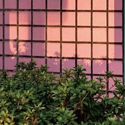 古賀及子　初期作品10冊 古賀及子 (@eatmorecakes) / X