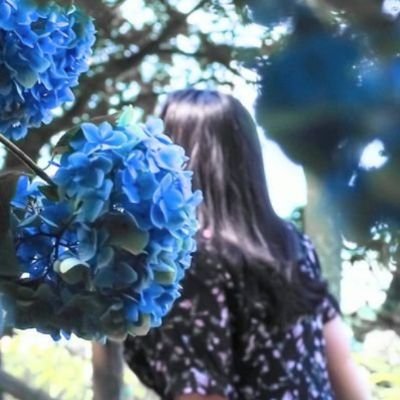 GracefulxO32945's profile picture. 