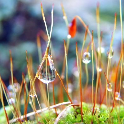 Murvccarty's profile picture. The great use of life is to spend it on something that will outlast it.