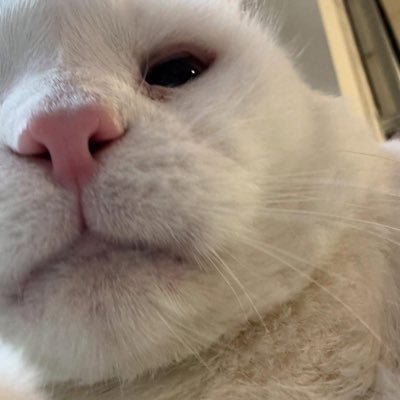 Annaomi_sk's profile picture. 