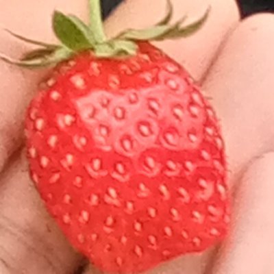 JusupYoshu32491's profile picture. 