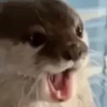 SoodalKim817's profile picture. 피아노를 칩니다🎹 TSLA | 연주스페는 하이라이트에