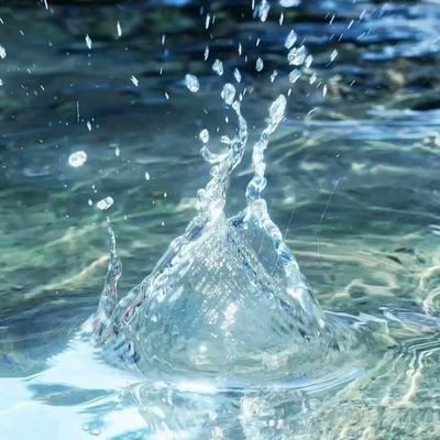 lixnonwin's profile picture. 