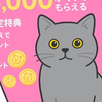 rakumobilefight's profile picture. 九州の楽天グループ社員/猫が好き/ラーメン好き🍜/野球好き/X初心者/日常も呟きます/ダイエット/ジム💪/物欲強め/美容好き/Jロック好き