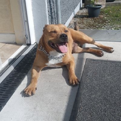 Paul_Moore91's profile picture. 