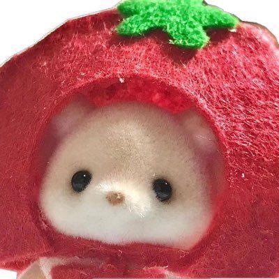 binastobeli's profile picture. akun gado-gado alias campuran.