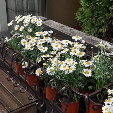 abcdefgh_200108's profile picture. 