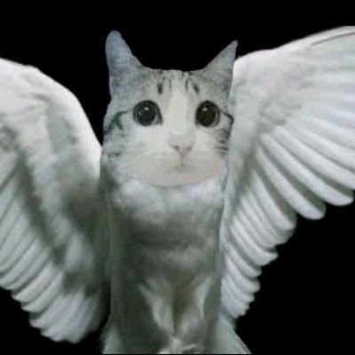 Chaosfahrer's profile picture. Clueless 24/7