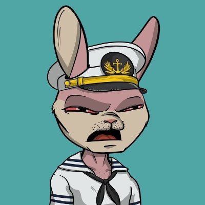 stackiReilly's profile picture. Designing tools for decentralized content creation.