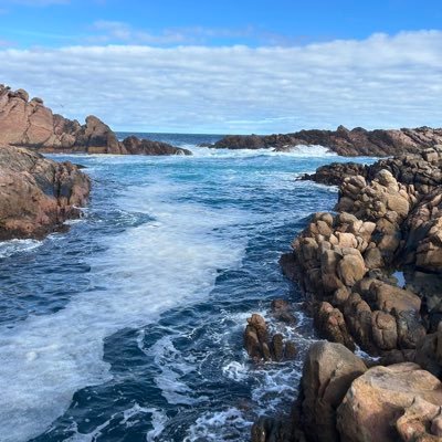 Lewis33333333's profile picture. TA trader, chart is the key for me, focus on momentum and value