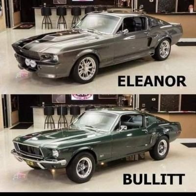 SteveVa20633780's profile picture. Happily married to Connie for 49 years. Two beautiful children and their spouses with 5 awesome grandchildren. 

No girlfriends,  financial advise, or porn.